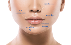 lip filler techniques